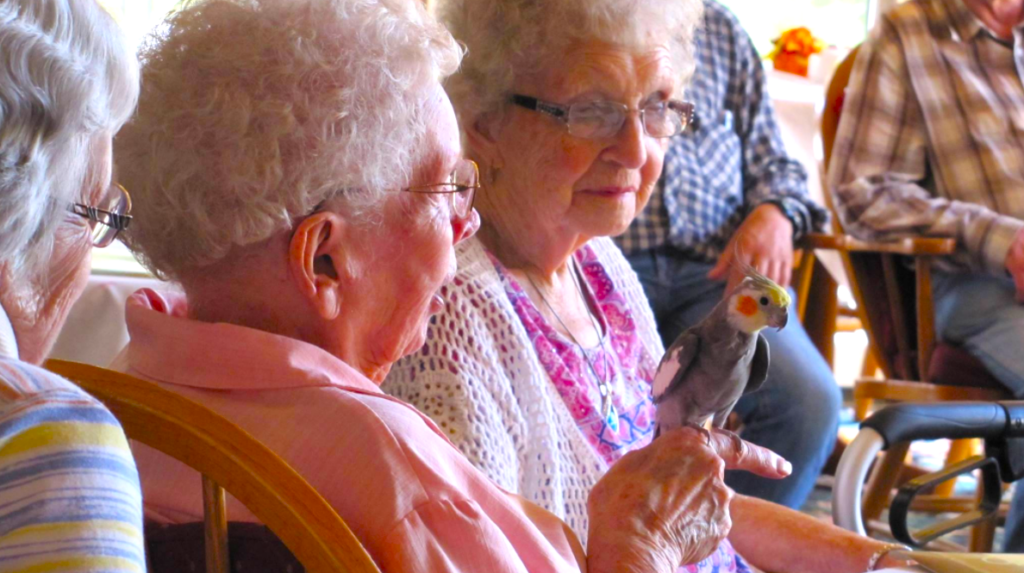 Country-Manor-Retirement-Residence-having-fun-social-day